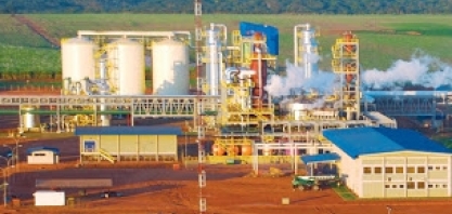 Joint venture entre BP e Bunge produzirá desinfetantes para hospitais no Brasil