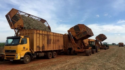 Usinas do país antecipam moagem de cana e devem produzir mais açúcar, diz FCStone