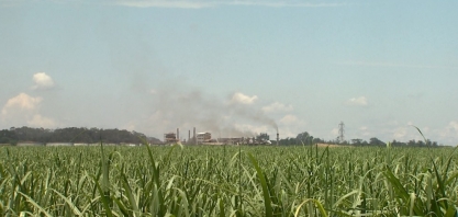 Perto da safra, mercado espera etanol mais barato nos postos após queda de 9% nas usinas