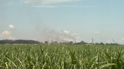 Perto da safra, mercado espera etanol mais barato nos postos após queda de 9% nas usinas