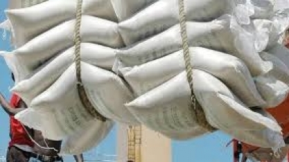 De guarda-chuva no ciclone tropical