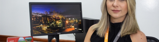 Mulheres do Setor Sucroenergético – Eliane Viotto