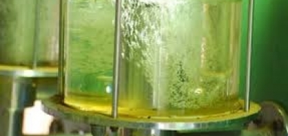 UNICA pede que empresas doem ao SUS embalagens, tipo “bombona” de 20 litros, para a distribuição de 1 milhão de litros de álcool 70