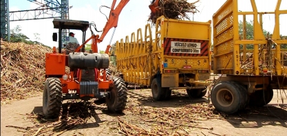 Alagoas beneficiou 15,9 mi de toneladas de cana até fevereiro