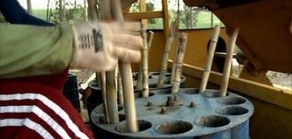 Alagoano cria uma plantadeira que ajuda a reduzir custos com a plantação de cana