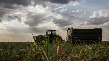 Safra canavieira na Atvos segue regularmente