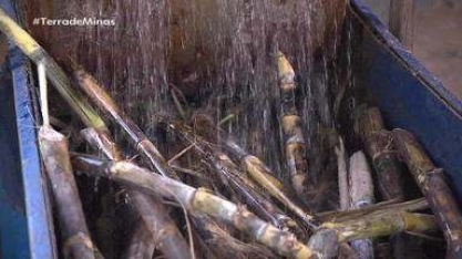 Em Capitólio, as produções artesanais de cachaça e café chamam a atenção de visitantes