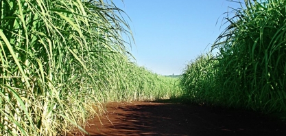 ATR tem variação de 4,1% em fevereiro