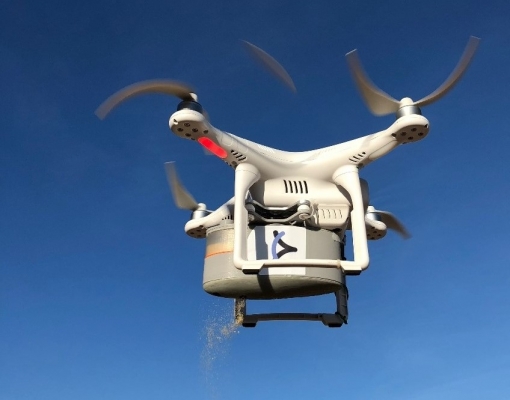 Drone liberando o parasitoide Tetrastichus howardi. Crédito: Birdview