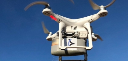 Test drive mostrará vantagens de parasitoide no controle da broca-da-cana