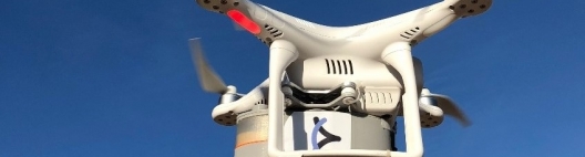 Test drive mostrará vantagens de parasitoide no controle da broca-da-cana