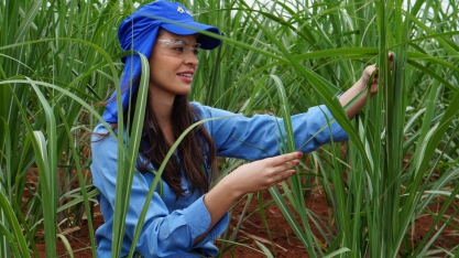 Mulheres do Setor Sucroenergético – Gabriela Araujo Martini
