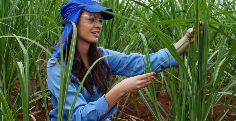 Mulheres do Setor Sucroenergético – Gabriela Araujo Martini