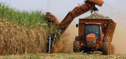 Centro-Sul voltará a reinar no açúcar