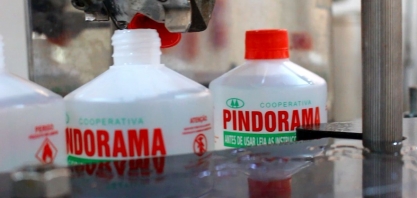 Pindorama já comercializou mais de seis mil caixas de álcool gel este mês