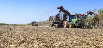 Moagem no Centro-Sul será de 600 milhões de toneladas na safra 20/21, projeta Agroconsult