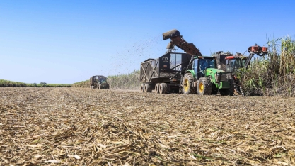 Moagem no Centro-Sul será de 600 milhões de toneladas na safra 20/21, projeta Agroconsult