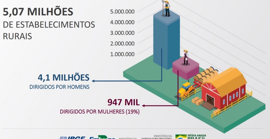 Foto: Banco de imagens Embrapa/IBGE/MAPA