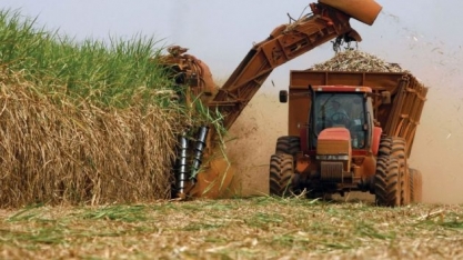 Pecege avalia os Impactos do Coronavírus no Setor Sucroenergético Brasileiro