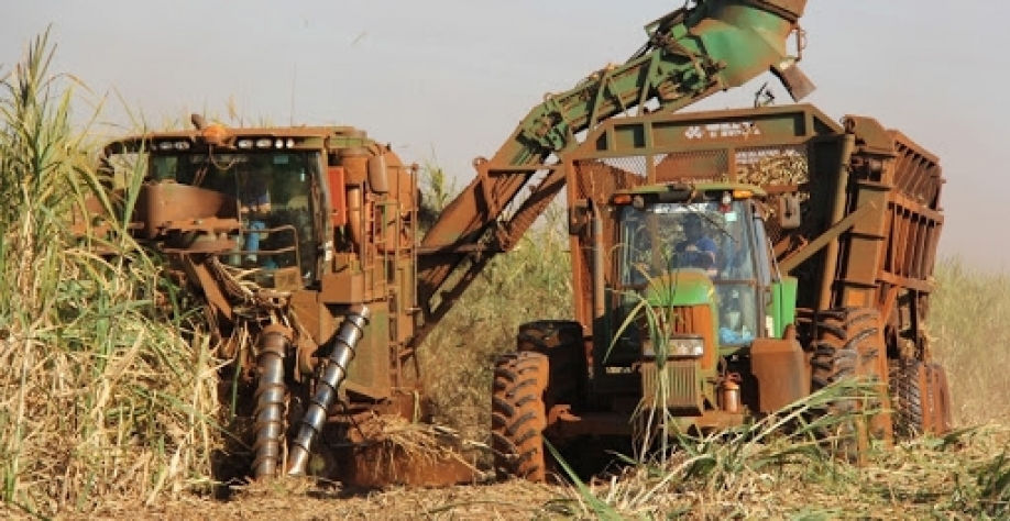 Crédito foto: CanaOnline