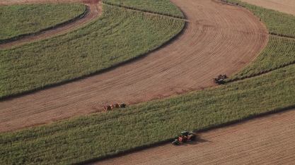 Adecoagro reverte prejuízo e tem lucro de US$ 9,6 mi no 4º trim./2019