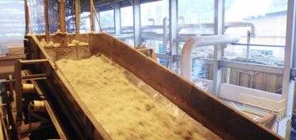 Moagem de cana-de-açúcar atinge quase 3 milhões de toneladas