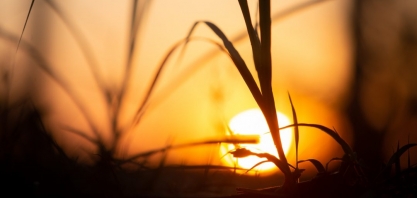 Fim de safra no centro-sul registra produção recorde de etanol