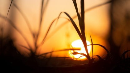 Fim de safra no centro-sul registra produção recorde de etanol