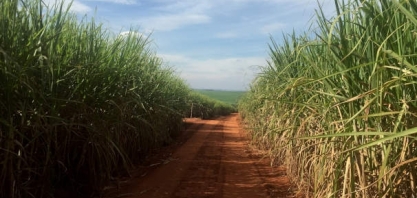 Usinas do NE ganham na Justiça direito de venda direta aos postos de 12 milhões/litros de etanol