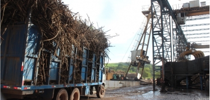 Setor canavieiro aposta nas chuvas para manter onda de crescimento na safra 20/21