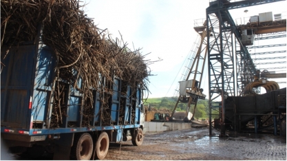 Setor canavieiro aposta nas chuvas para manter onda de crescimento na safra 20/21