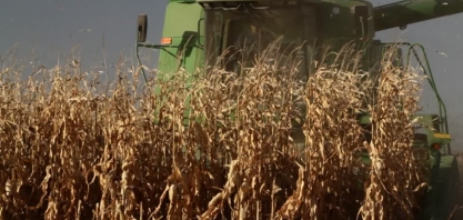 Queda do petróleo preocupa setor de etanol dos EUA