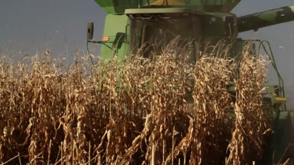 Queda do petróleo preocupa setor de etanol dos EUA