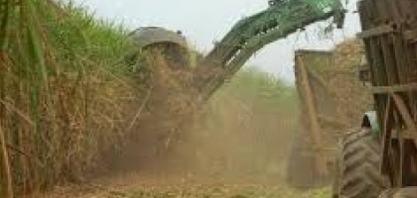 Pesquisadores que desenvolveram a RenovaCalc se unem para primeira formação EAD RenovaBio