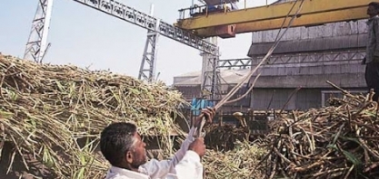 Produção de açúcar da Índia cai 21% nos primeiros seis meses da safra, diz ISMA