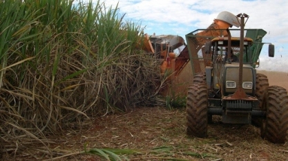 Associação de usinas de etanol pede que ANP ‘coiba excessos’ de distribuidoras