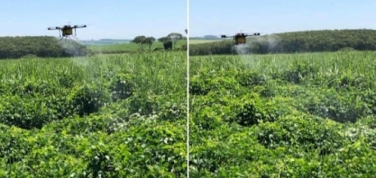 Os ganhos com o uso do georreferenciamento e drones na aplicação de herbicidas nos canaviais