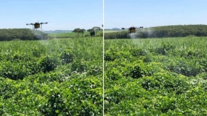 Os ganhos com o uso do georreferenciamento e drones na aplicação de herbicidas nos canaviais