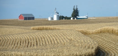 Uso de milho na produção de etanol cai 9,5 milhões de toneladas nos EUA