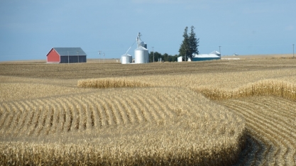 Uso de milho na produção de etanol cai 9,5 milhões de toneladas nos EUA