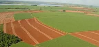 Cana/Canaplan: Perspectiva para safra 2020/21 vai depender do clima e das crises externas