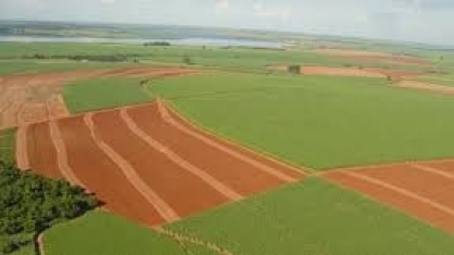 Cana/Canaplan: Perspectiva para safra 2020/21 vai depender do clima e das crises externas