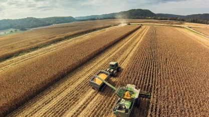 Para Conab, queda na demanda por milho nos EUA preocupa mercado brasileiro