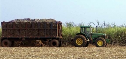 Produção de açúcar do centro-sul estimada em 33,8 mi t em 2020/21, diz Marex