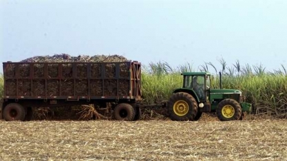 Produção de açúcar do centro-sul estimada em 33,8 mi t em 2020/21, diz Marex