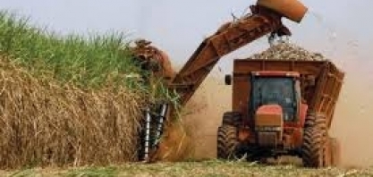 Cana/Unica: Centro-sul processa 22,378 mi de t na 1ª quinzena da safra 2020/21