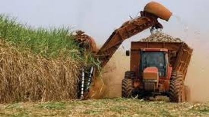 Cana/Unica: Centro-sul processa 22,378 mi de t na 1ª quinzena da safra 2020/21