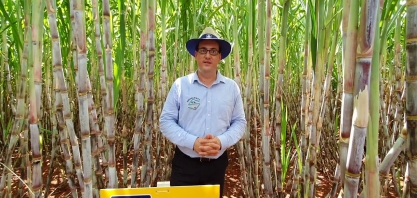 Nutrição com cálcio (Ca) e enxofre (S) junto com nitrogênio, fósforo e potássio (NPK) em cana-planta