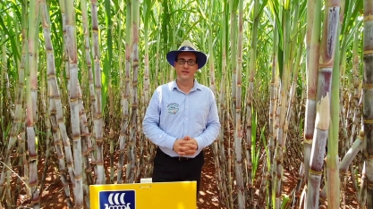 Nutrição com cálcio (Ca) e enxofre (S) junto com nitrogênio, fósforo e potássio (NPK) em cana-planta