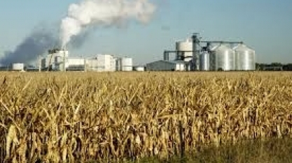 Soja: colapso do etanol pode ser oportunidade para o farelo, diz analista